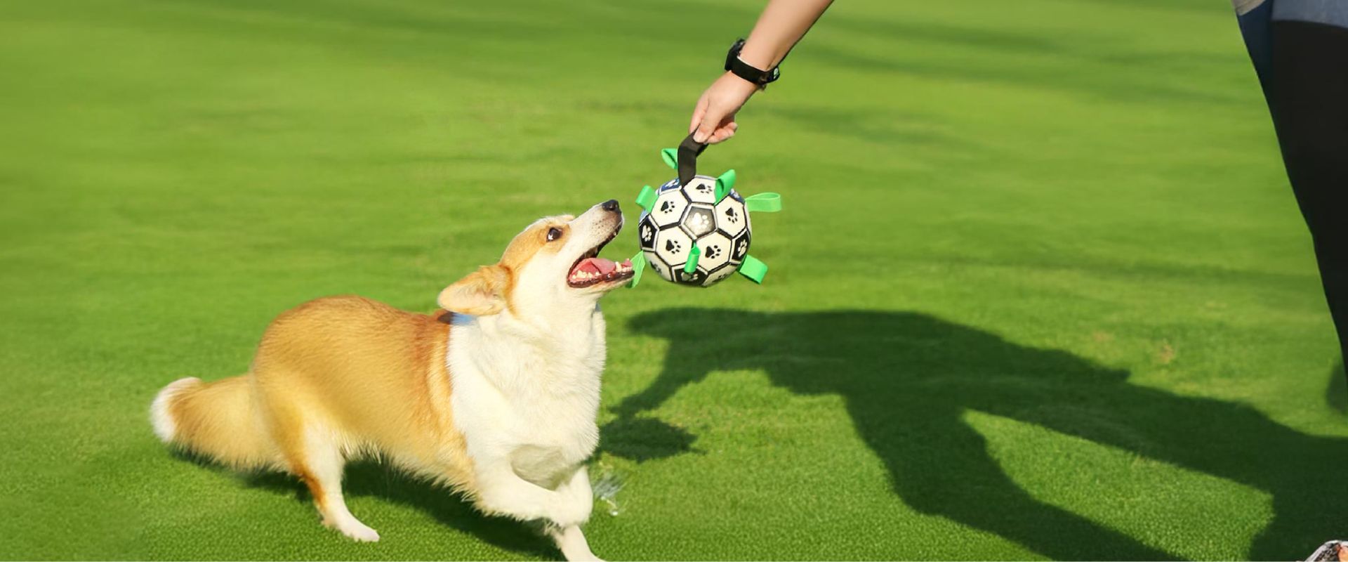 slider image slider_item_b9RtGj