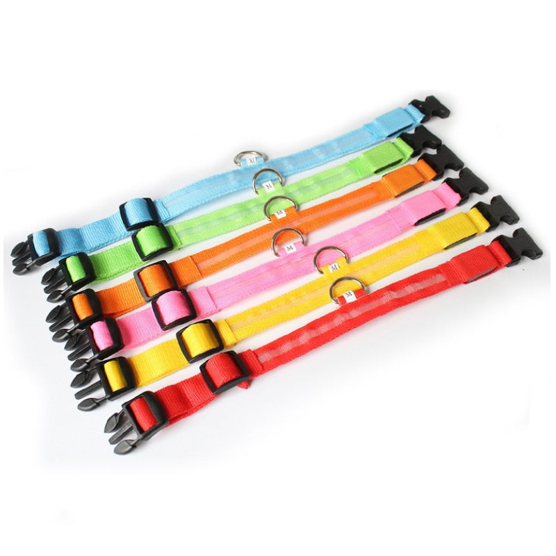 BrightNeck™ - LED Safety Dog Collar