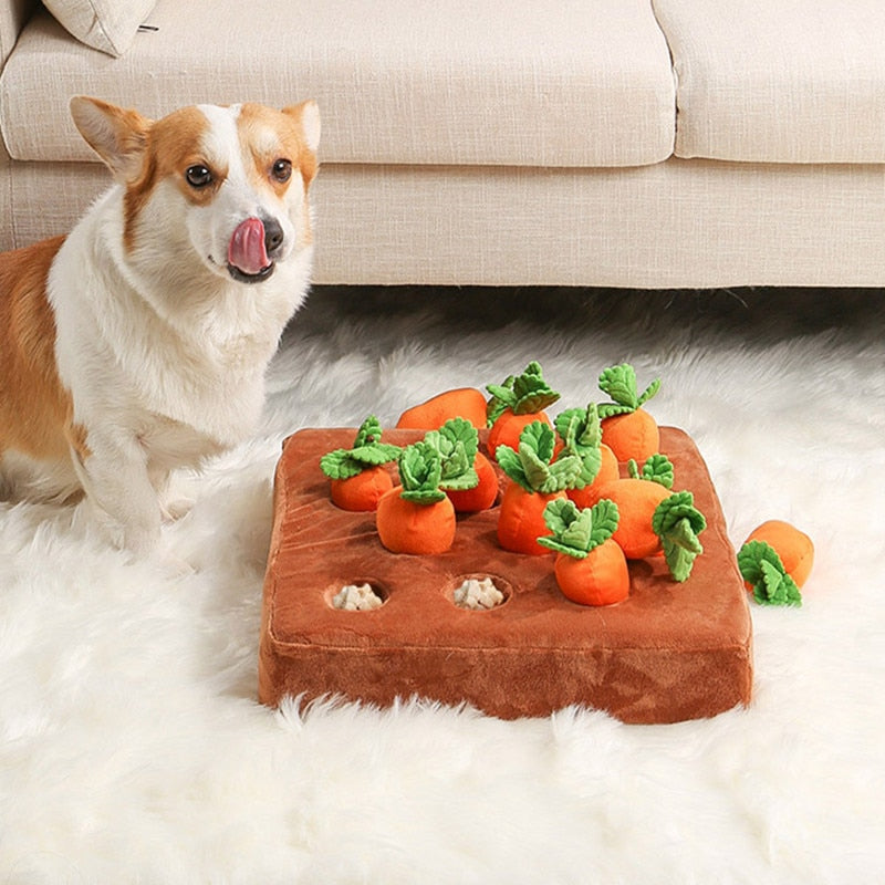 CarrotQuest™ - Carrot Farm Dog Toy
