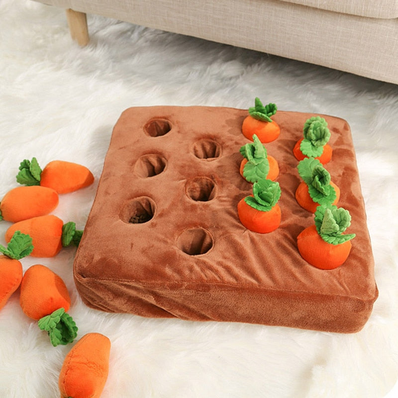 CarrotQuest™ - Carrot Farm Dog Toy