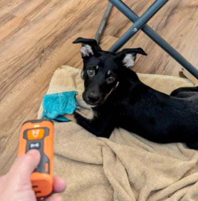 BarkStopper™ - Ultrasonic Anti-Barking Device