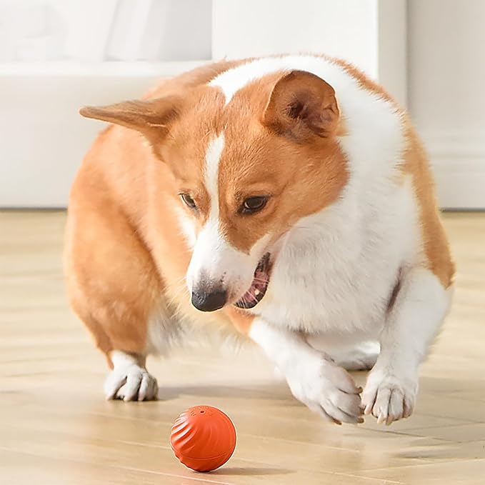 Smart Teasing Dog Ball