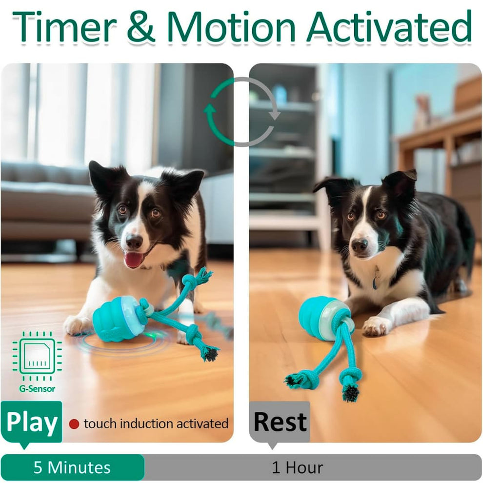 Smart Spin Tug Dog Toy