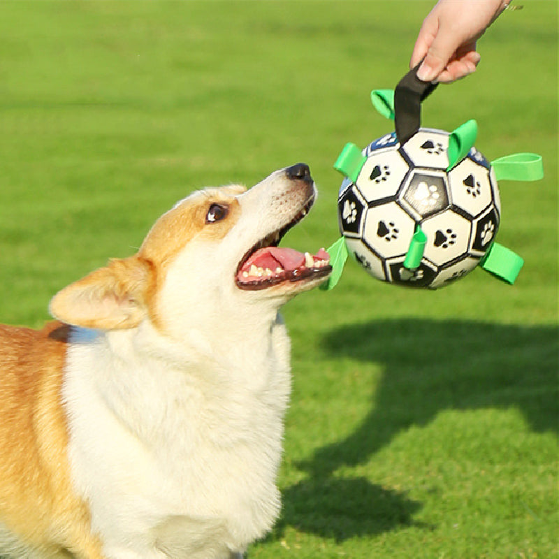 EXCLUSIVE BLACK FRIDAY DEAL 50% OFF - PawKick™ - Soccer Ball For Dogs