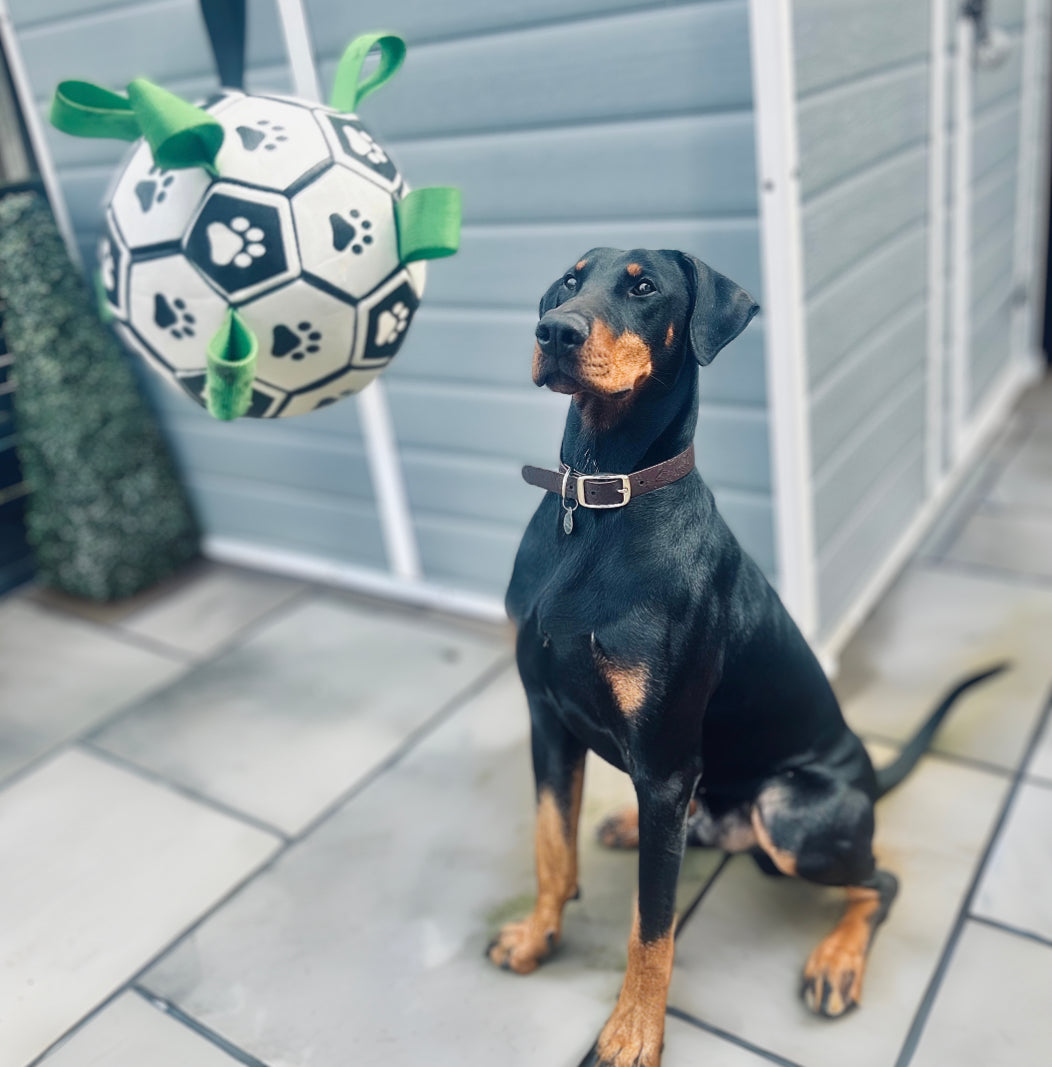 PawKick™ - Soccer Ball For Dogs