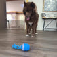 Smart Spin Tug Dog Toy