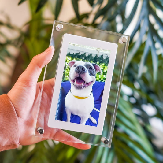 PetFrame™ - Digital Pet Memory Frame -