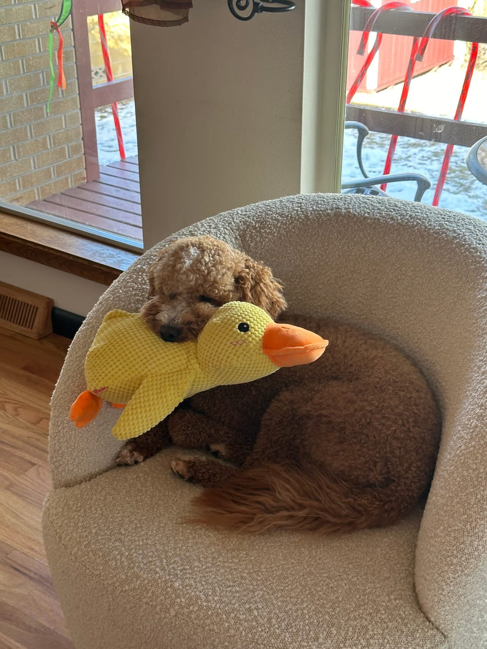 Calming Durable Duck Dog Toy