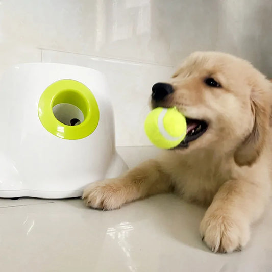 PawPult™ - Automatic Dog Ball Launcher
