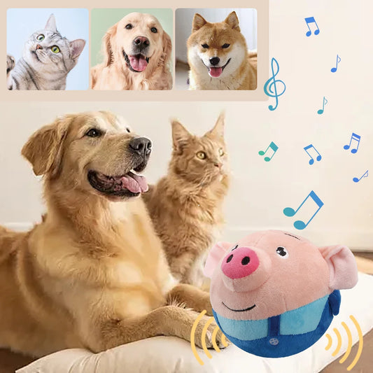 Bouncing Piggy Interactive Dog Toy