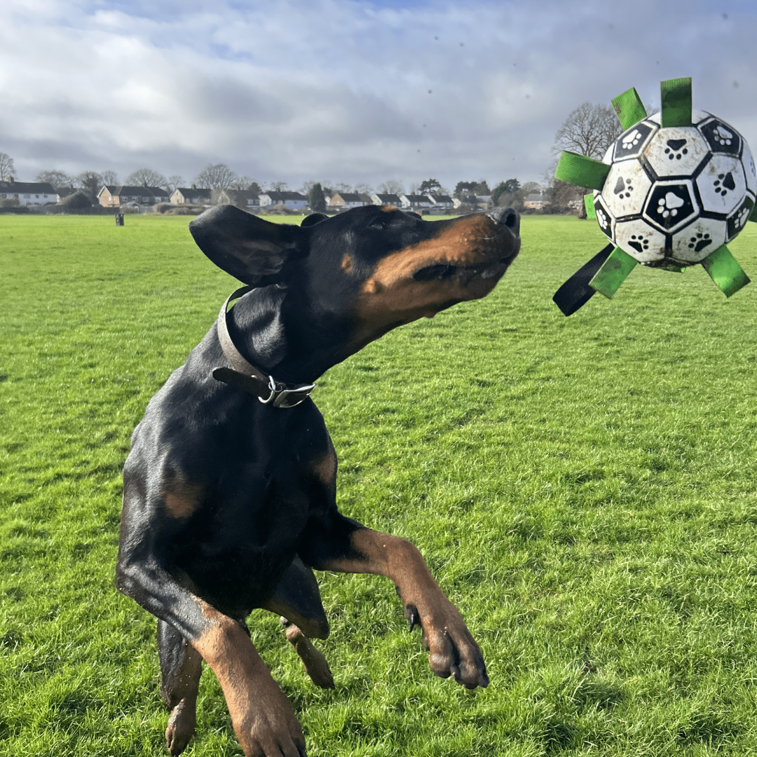 PawKick™ - Soccer Ball For Dogs