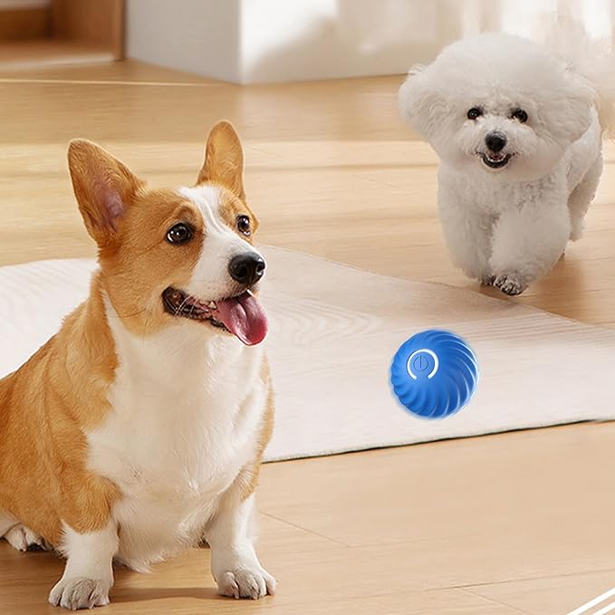 Smart Teasing Dog Ball