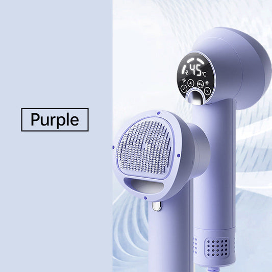 Pet Hair Dryer with Slicker