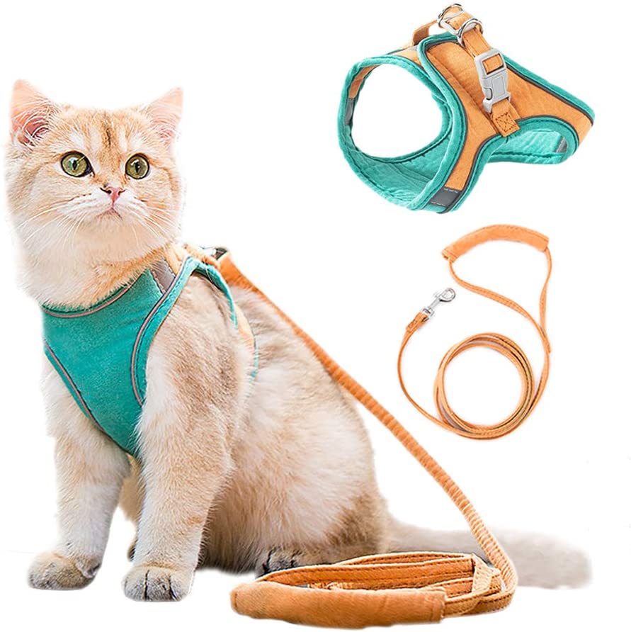 CatVest™ - Luminous, Secure Cat Harness and Leash Set