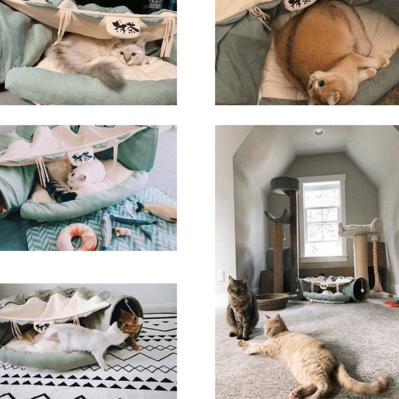 CatTunnel™ - Bed & Play Tunnel