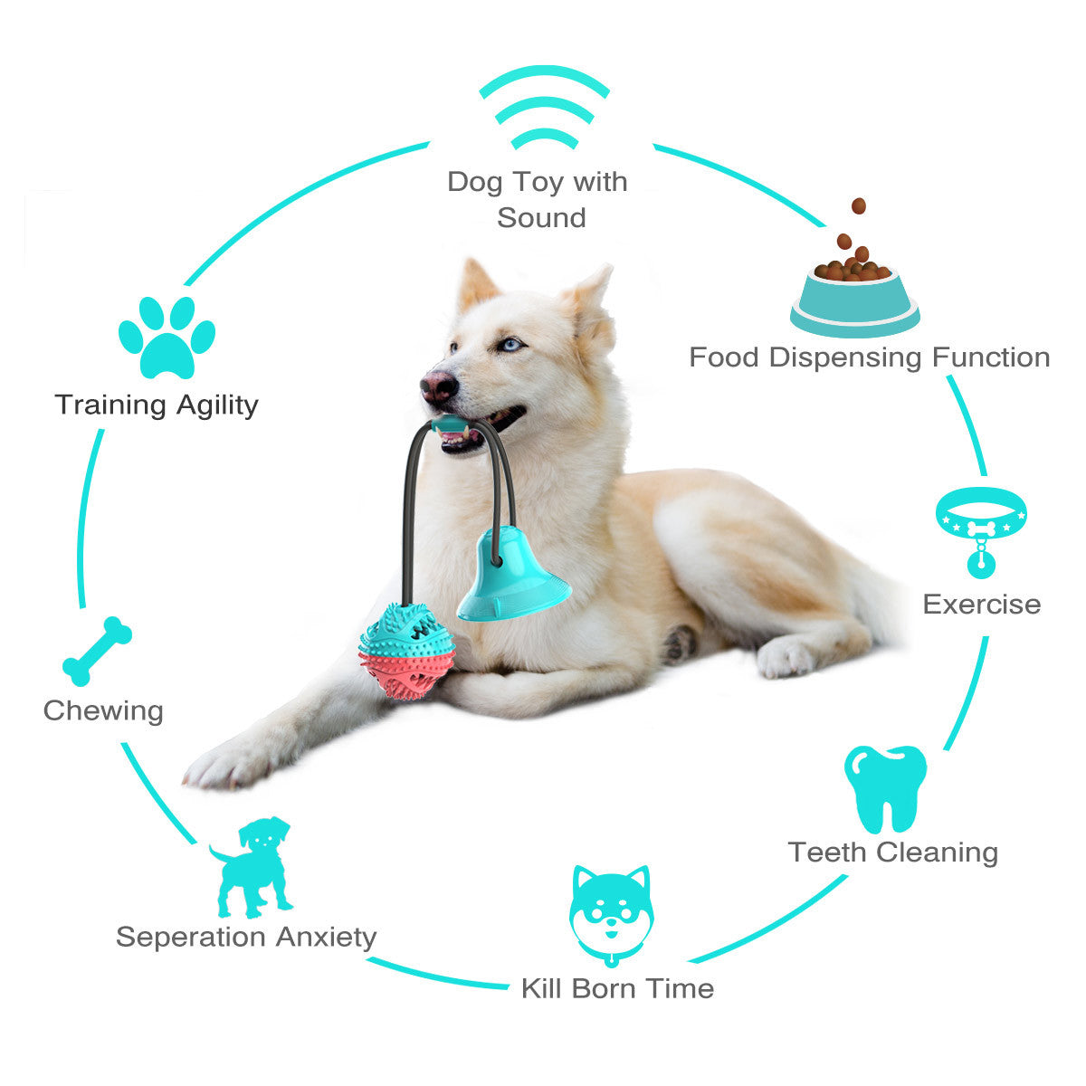 Dog suction clearance tug toy