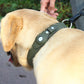 SafeTrack™ - Airtag Dog Collar