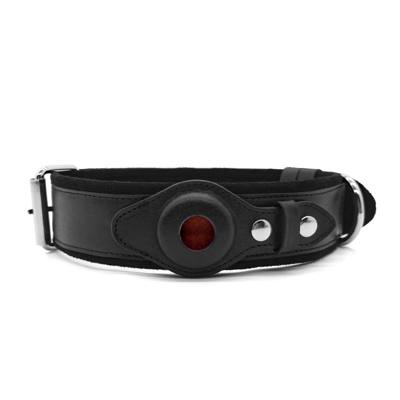 SafeTrack™ - Airtag Dog Collar