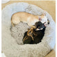 ComfyBed™ - Calming Pet Bed ---