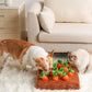 CarrotQuest™ - Carrot Farm Dog Toy