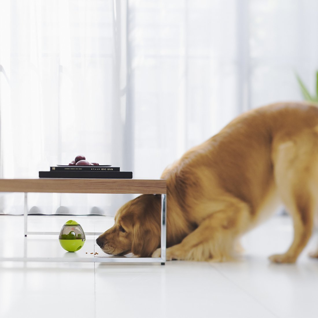 FoodBall™ - Interactive Pet Feeding Ball